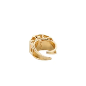 Fashion Anello Palazzo San Felice. Argento placcato oro Anelli
