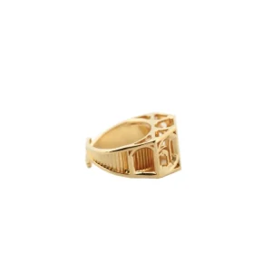 Fashion Anello Palazzo San Felice. Argento placcato oro Anelli