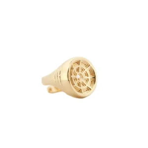 Best Anello Sigillo Pantheon da uomo in Argento 925 Placcato Oro Per Lui | Anelli