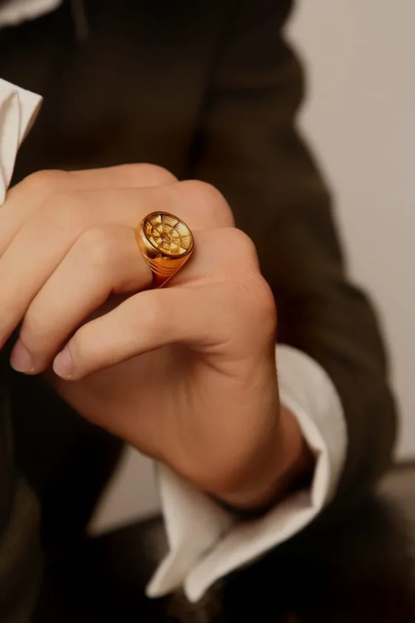 Best Anello Sigillo Pantheon da uomo in Argento 925 Placcato Oro Per Lui | Anelli